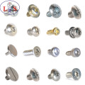 Clinching Screw with Cylinder / Fastener / Screw